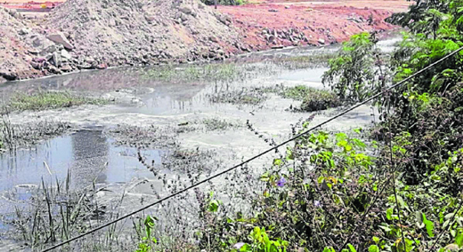 Phalguni river...